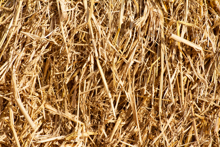 Straw was the background and textureの写真素材