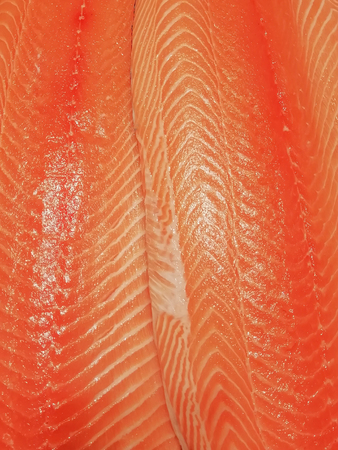 Salmon fish as background Japanese Foodの写真素材