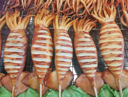 Big fresh squid grilled on steel grating