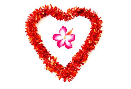 Red heart shaped decoration with azalea flowers in the middle isolated on a white backgroundの写真素材