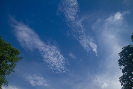 The background is a blue sky with white clouds and green leaves as a frame.の写真素材
