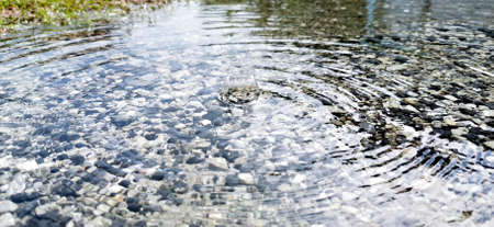 Close-up (eye-level view). Raindrops hit the surface of the water, and bounce like a flower. Below...