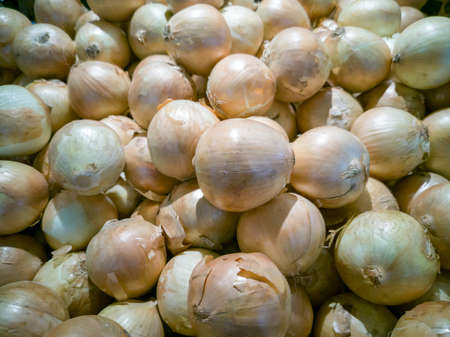 Onion ( Allium cepa), fresh in supermarket shelves, Thailand.の写真素材