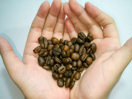 Medium roasted coffee beans, heart shape, on both palms, white background.の写真素材