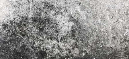 Dirty cement walls, lichen stains, seamless surface.の写真素材