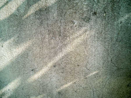 Old cement wall texture, reflection of leaves, early morning.