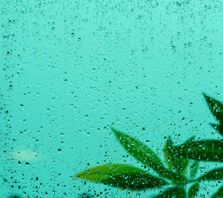Raindrops on window glass, and blur of green leaves, in rainy season.の写真素材
