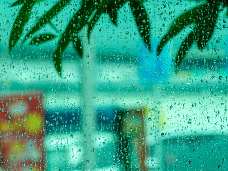 Raindrops on the window glass, behind the blur of leaves and city buildings.