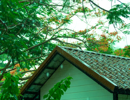 Gable roof in the garden. Rain on the roof, during the rainy season.
