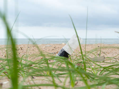 Blurred image of grass. Disposable water bottle on the beach, and, sand, sea, small pieces of trash.