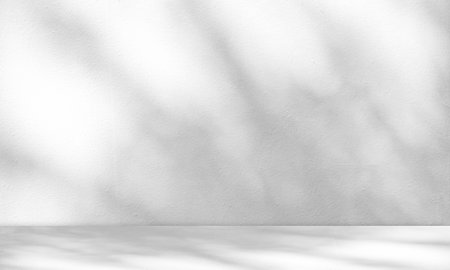White wall background and tree leaves soft shadows. Natural pattern, gray shadow. Copy space