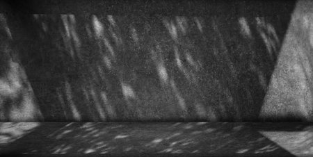 Rough concrete wall and floor with leaf shadows, dark style concept.