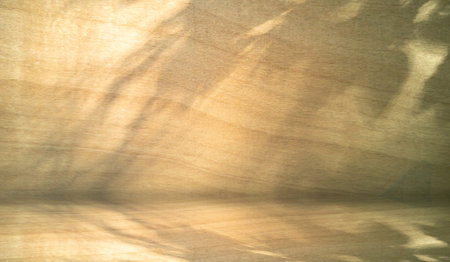 Soft shadow leaves on  Brown wood. Stage floor and wall plywood.の写真素材