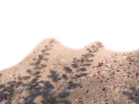 White sand beach and leaves shadow, seashells with copy space, summer vacation background patternの写真素材