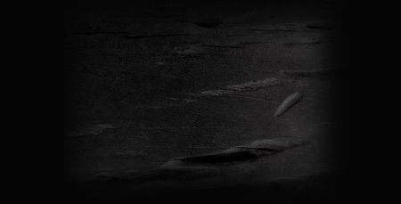 Black wooden wall background with natural pattern. Wide and large wooden crack backdrop.の写真素材