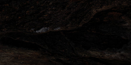 Dark wood texture with details of ancient bark, suitable for backgrounds, illustrations, or natural and vintage designs.の写真素材