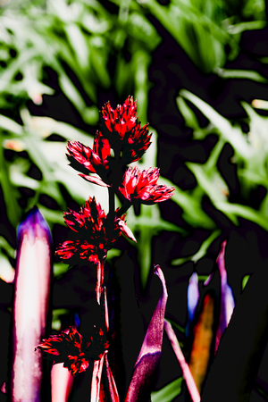 The beautiful abstract background with colorful in black style.の写真素材