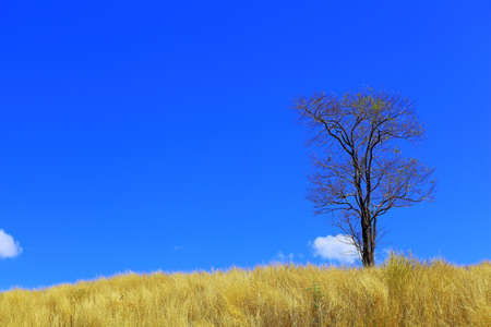 Phuthapboek Khoo kho , Phetchabun Thailand