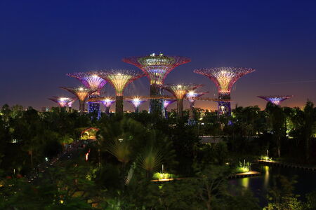 SINGAPORE - JANUARY 31  Super tree groove at Garden by the Bay January  31, 2014 in Singapore  Spanning 101 hectares of reclaimed land in central Singapore のeditorial素材