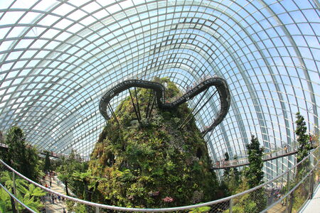 SINGAPORE-FEB 1  The Supertree Grove, Cloud Forest   Flower Dome at Gardens by the Bay on February 1, 2014 in Singapore のeditorial素材