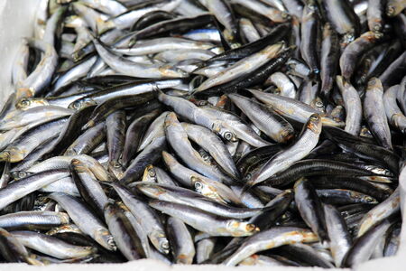Fresh fish and seafood in market
