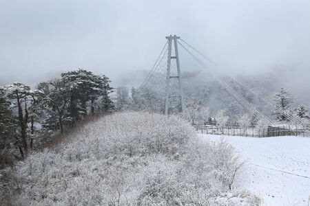 Oita, JAPAN - March 21  Oita, Japan on March 21, 2014  Kokonoe  Yume  Otsurihashi is located at the mid-west part of Oita prefecture, in Kokonoe-machi The length is 390meters, height 173 meters, width 1 5meters  As a suspension bridge for foot passengersoのeditorial素材