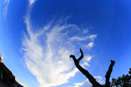 beautiful clouds and bule skyの写真素材