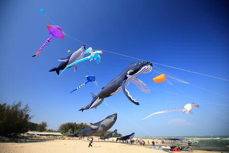 Phetchaburi, Thailand.- Mar 11: Thailand International Kite Festival at the Cha-am Beach on Mar 11, 2017 in Phetchaburi, Thailand.のeditorial素材