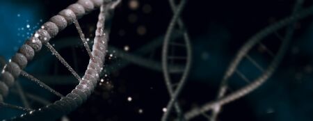 DNA molecule spiral structures dark background. Biology, science and medical technology concept. 3D illustrationの写真素材