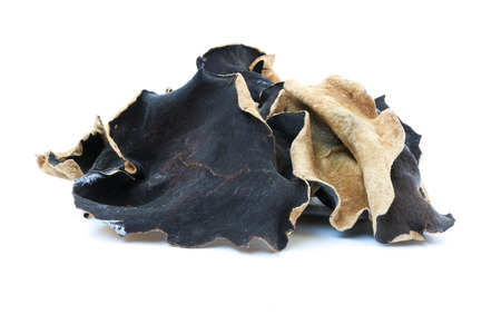 Black fungusの写真素材