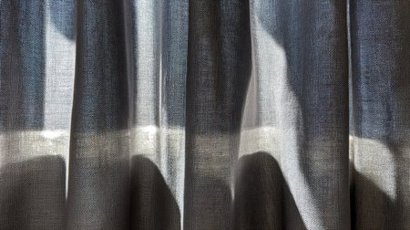 A serene view of sheer fabric curtains, gently diffusing natural light and casting soft shadows in an elegant indoor setting, perfect for enhancing home decor imagery.の素材