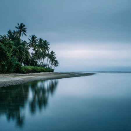 A serene coastal landscape featuring palm trees along the shore, reflecting on the still water under a moody overcast sky, ideal for travel and nature-themed projects.の素材