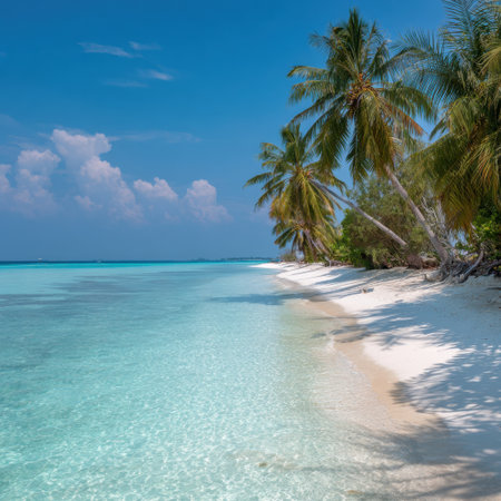 A stunning beach scene featuring soft white sand, tall palm trees, and clear water under a bright blue sky, perfect for evoking feelings of relaxation and travel.の素材
