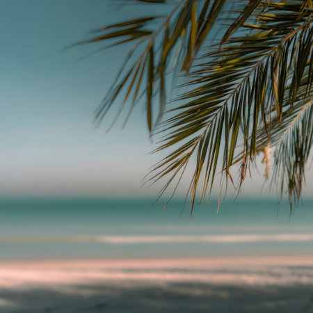 A breathtaking view of a tranquil beach scene framed by lush palm leaves. The calm waves gently lap at the shore against a backdrop of a clear sky, perfect for relaxation.の素材