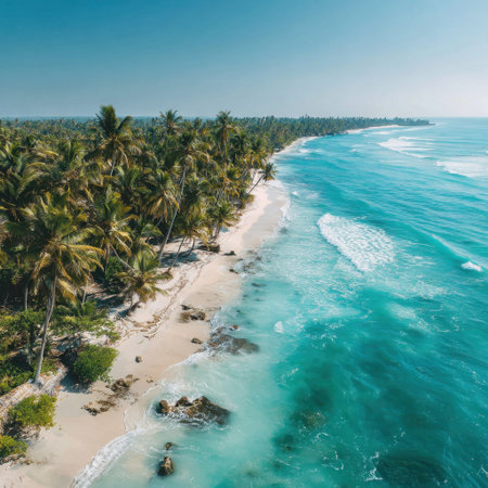 A stunning view of a tropical beach featuring lush palm trees and vibrant blue waters, perfect for themes of relaxation, travel, and nature appreciation.の素材