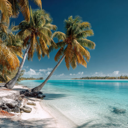 Experience the soothing beauty of a tropical beach with palm trees and clear water, creating a perfect setting for relaxation and unforgettable adventures in nature's sanctuary.の素材