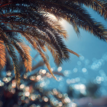 Experience the beauty of a tropical paradise with this stunning image of palm fronds basking in warm sunlight, creating a serene and tranquil atmosphere ideal for relaxation and leisure.の素材