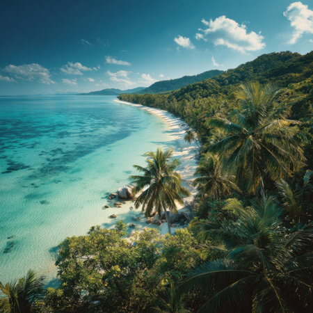 Discover a tranquil tropical beach scene with crystal clear waters and lush palm trees, inviting visitors to relax and enjoy the beauty of nature under a bright blue sky.の素材