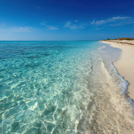 A stunning view of a tropical beach showcasing crystal clear water and gentle waves under a bright sky, ideal for serene vacations and peaceful escapes. Perfect for nature lovers.の素材