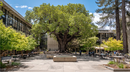 A tranquil courtyard featuring a large tree and modern architecture provides a perfect space for people to gather and enjoy nature on a sunny day.の素材