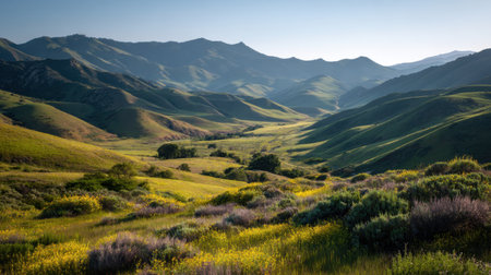 This breathtaking image captures rolling green hills adorned with vibrant wildflowers, showcasing nature's beauty during golden hour under a clear sky.の素材