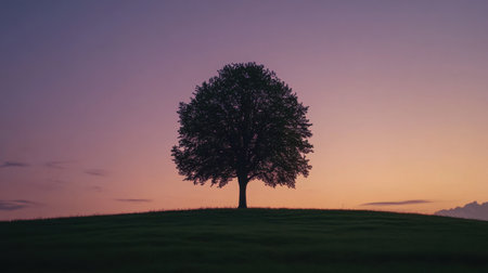 Stunning silhouette of a solitary tree against a vibrant sunset sky. This serene landscape embodies tranquility and natural beauty, perfect for calming visuals.の素材