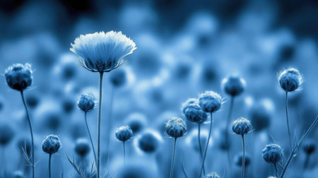 This stunning image showcases a delicate blue flower gracefully standing out among budding blooms, embodying tranquility and the serene beauty of nature in soft-focus.の素材