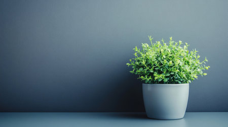 A vibrant green potted plant sits elegantly against a smooth gray background, enhancing the minimalist decor and providing a touch of nature for any interior space.の素材