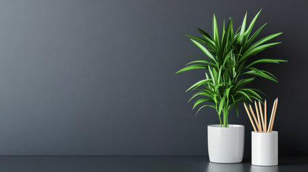 A vibrant green indoor plant in a minimalist white pot alongside wooden pencils, set against a sleek dark gray background, perfect for home or office dの素材