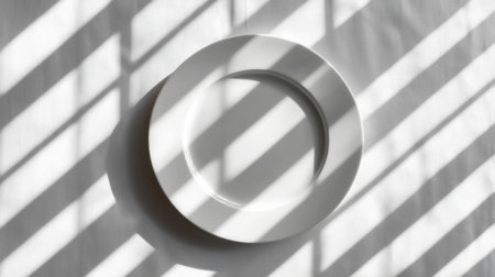 A striking image of a white plate casting delicate shadows on a textured surface, perfect for illustrating minimalist elegance and the art of food presentation in photography.の素材