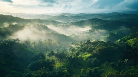 Discover a visually stunning aerial perspective of green mountains enveloped in mist, capturing the serene beauty of untouched nature in a tranquil tropical landscape.の素材