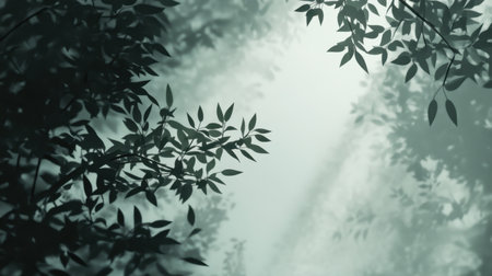 A beautiful display of shadows created by leaves, casting soft patterns on a misty background, evoking a serene and tranquil mood perfect for nature themes.の素材