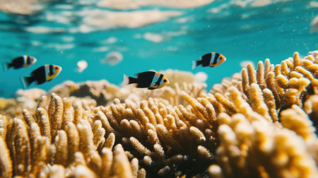 A captivating underwater scene featuring colorful fish swimming gracefully above a vibrant coral reef, showcasing the beautiful biodiversity of marine life in clear waters.の素材