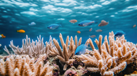 A vibrant underwater scene showcasing a coral reef teeming with tropical fish in pristine blue waters, depicting the beauty and diversity of marine life in its natural habitat.の素材